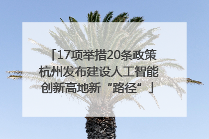 17项举措20条政策 杭州发布建设人工智能创新高地新“路径”