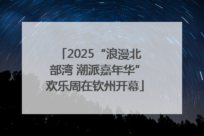 2025“浪漫北部湾 潮派嘉年华”欢乐周在钦州开幕