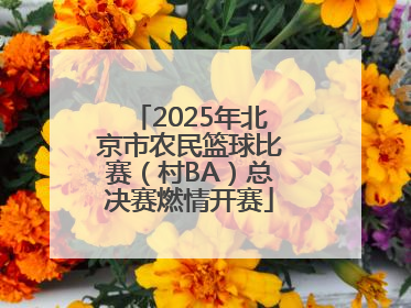 2025年北京市农民篮球比赛（村BA）总决赛燃情开赛