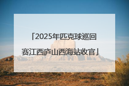 2025年匹克球巡回赛江西庐山西海站收官