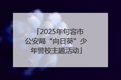 2025年句容市公安局“向日葵”少年警校主题活动