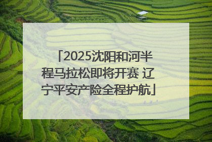 2025沈阳和河半程马拉松即将开赛 辽宁平安产险全程护航