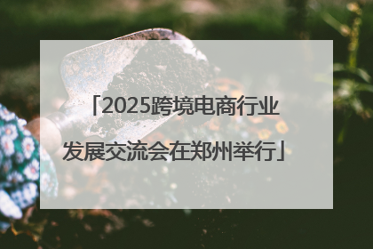 2025跨境电商行业发展交流会在郑州举行