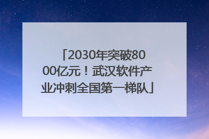 2030年突破8000亿元！武汉软件产业冲刺全国第一梯队