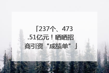237个、473.51亿元！晒晒招商引资“成绩单”