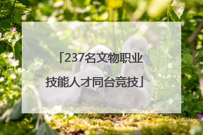 237名文物职业技能人才同台竞技
