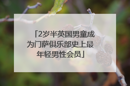2岁半英国男童成为门萨俱乐部史上最年轻男性会员