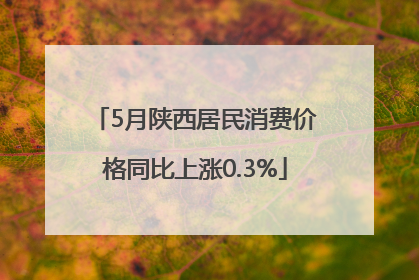 5月陕西居民消费价格同比上涨0.3%