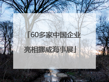 60多家中国企业亮相挪威海事展