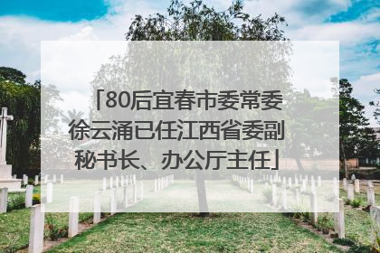 80后宜春市委常委徐云涌已任江西省委副秘书长、办公厅主任