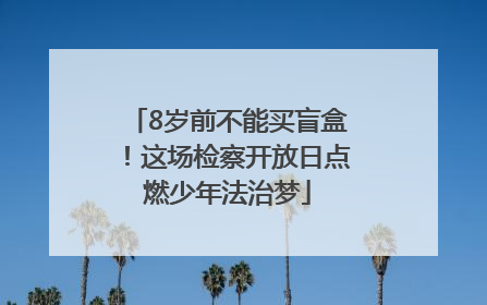 8岁前不能买盲盒！这场检察开放日点燃少年法治梦