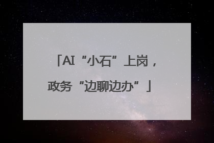 AI“小石”上岗，政务“边聊边办”