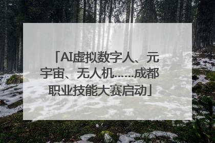 AI虚拟数字人、元宇宙、无人机……成都职业技能大赛启动