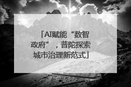 AI赋能“数智政府”，普陀探索城市治理新范式