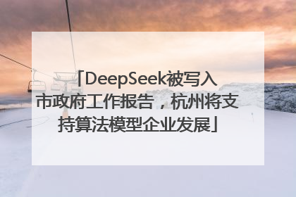 DeepSeek被写入市政府工作报告，杭州将支持算法模型企业发展