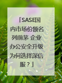 SASE国内市场份额名列前茅 企业办公安全升级为何选择深信服？