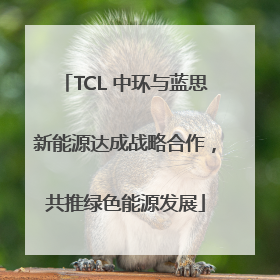 TCL 中环与蓝思新能源达成战略合作，共推绿色能源发展